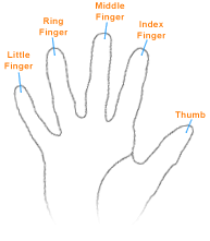 Fingers