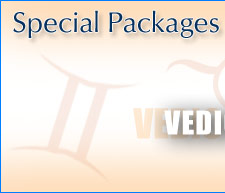 Vedic Consultancy